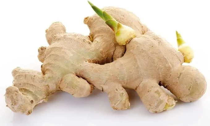 Ginger